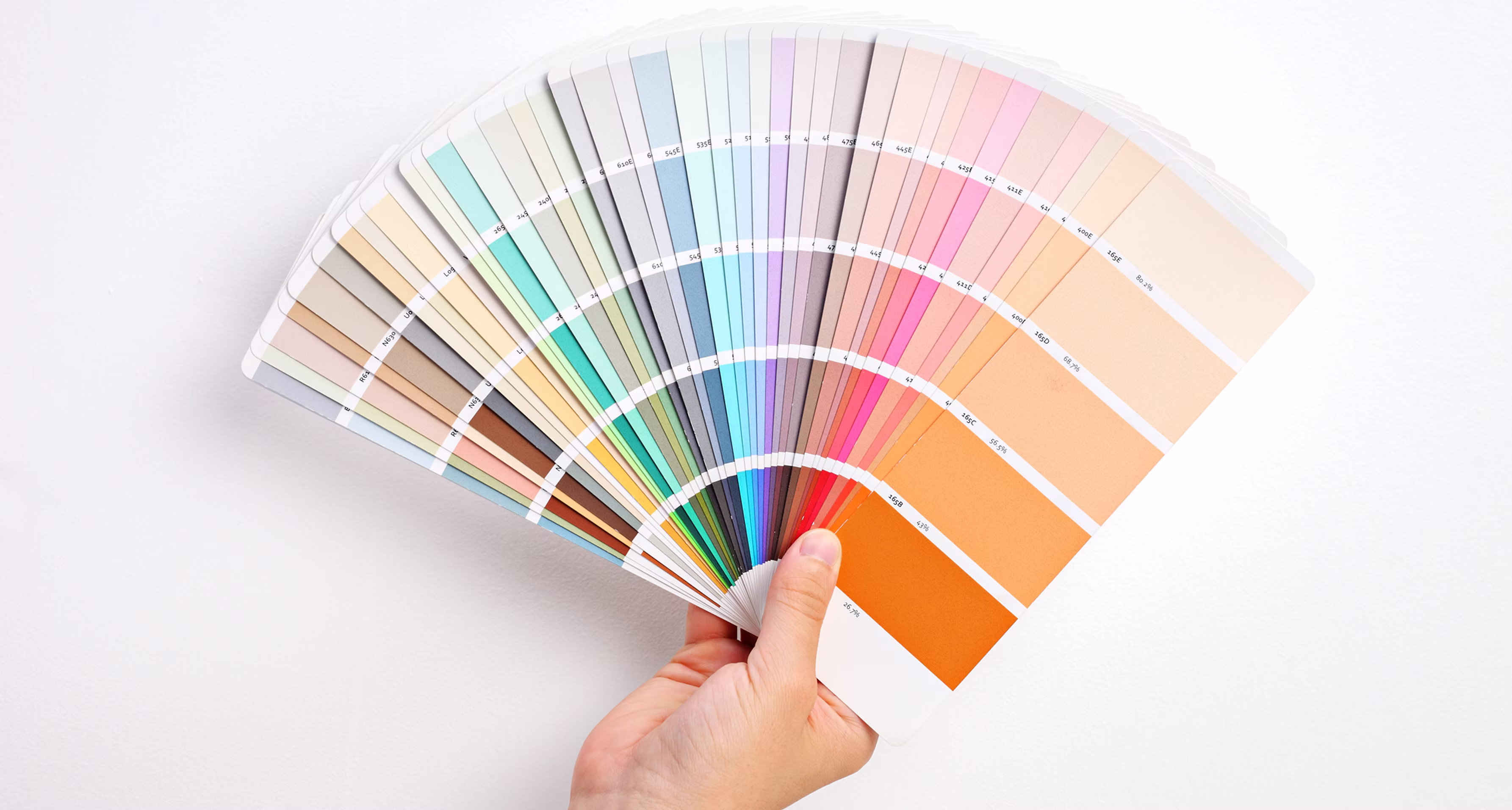 Farbe verändert alles: So wählen Sie die richtige Wandfarbe